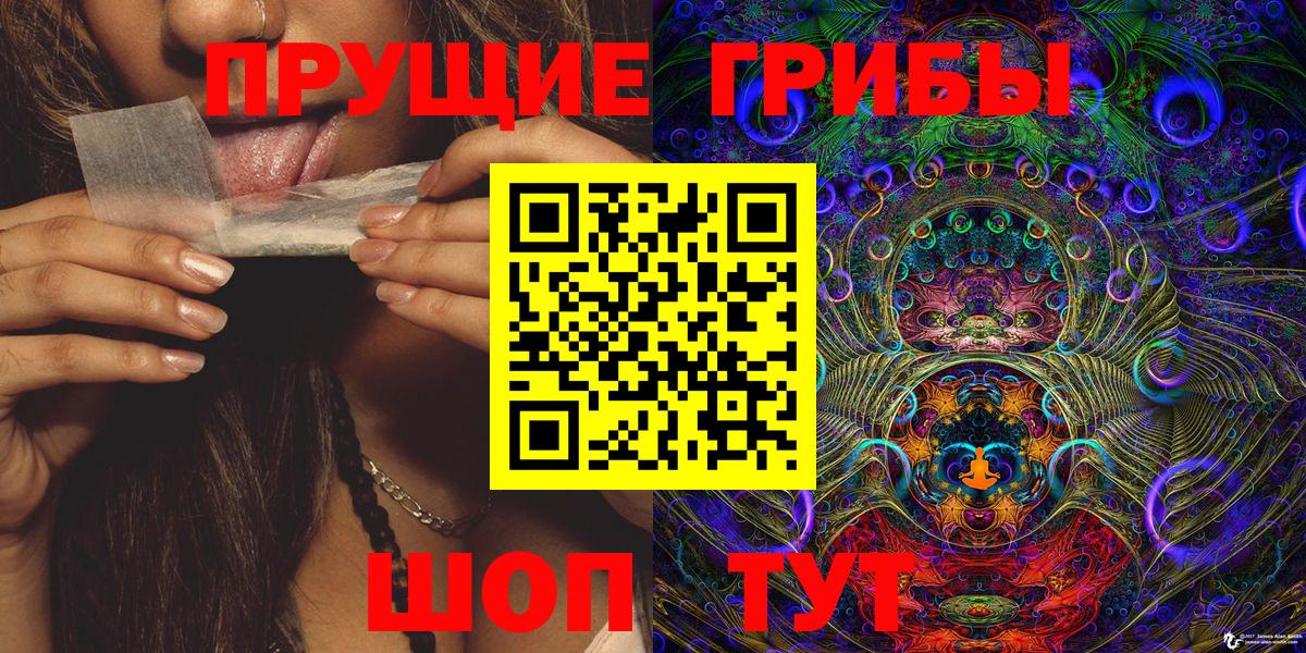 Псилоцибиновые грибы GOLDEN TEACHER  купить наркоту  Галлюциногенные грибы Psilocybe  Гусиноозёрск  Вход с VPN 
